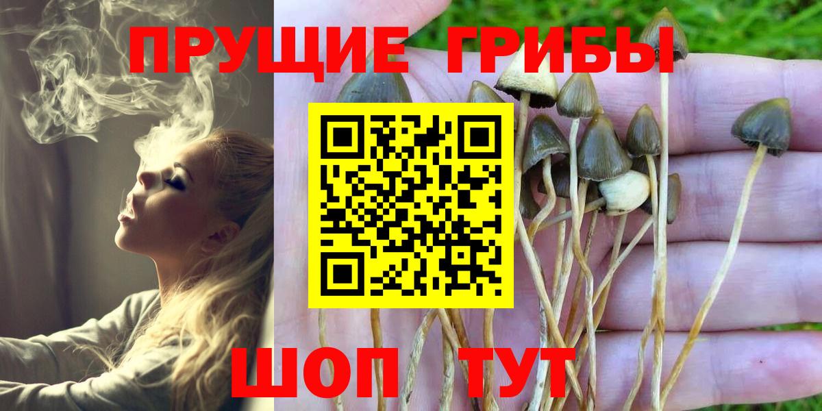 Псилоцибиновые грибы GOLDEN TEACHER Керчь